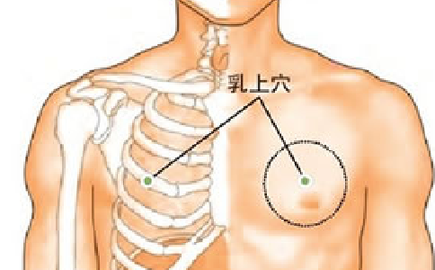 乳上穴的位置